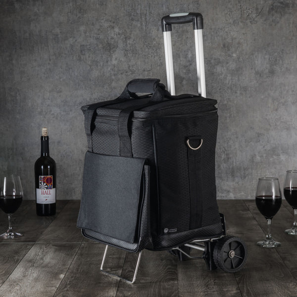 Las Vegas Raiders - Cellar 6-Bottle Wine Carrier & Cooler Tote with Trolley  – PICNIC TIME FAMILY OF BRANDS