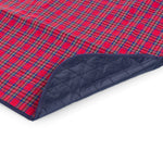 Red & Blue Tartan Pattern