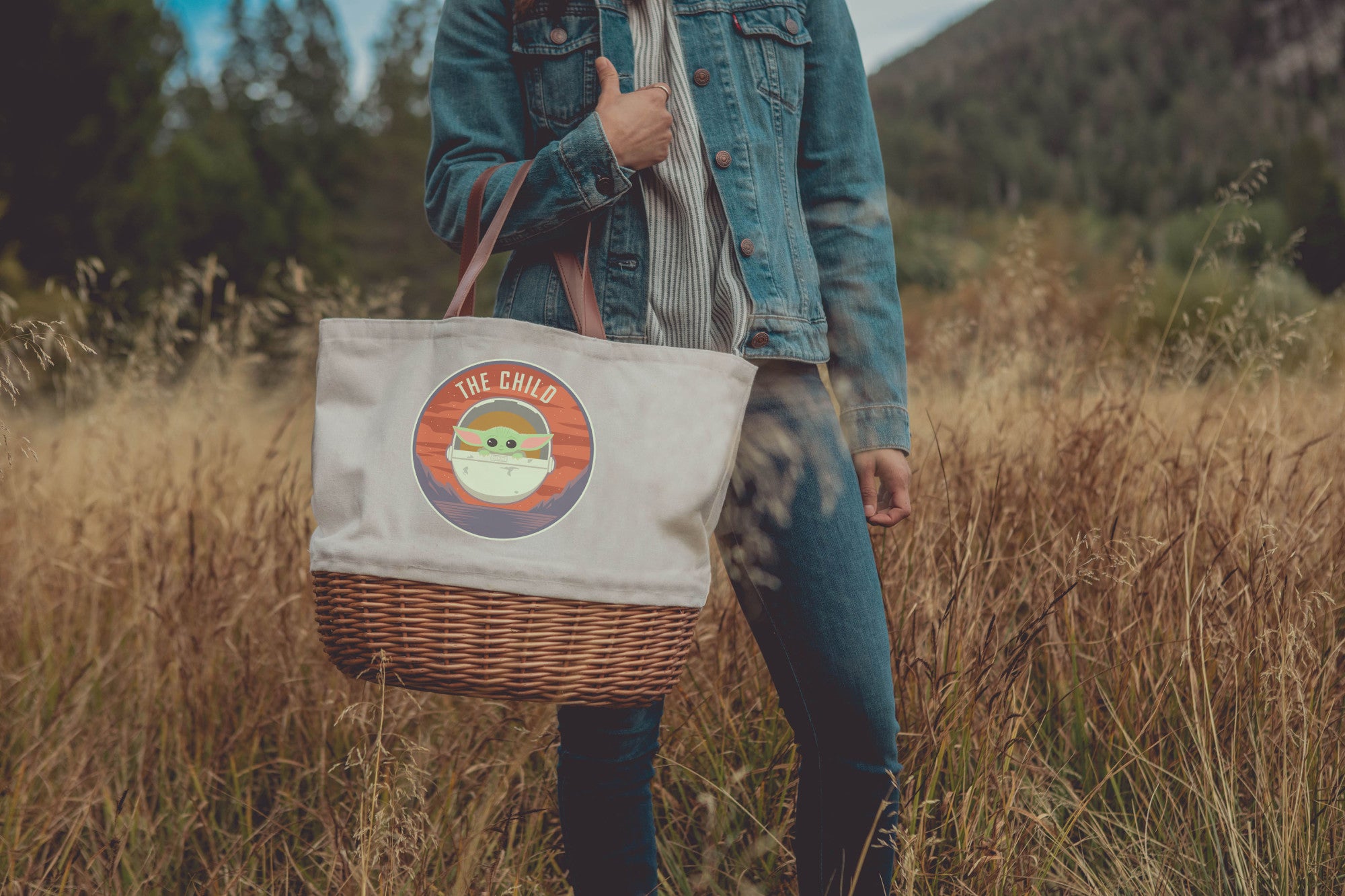 Star Wars - Coronado Canvas and Willow Basket Tote